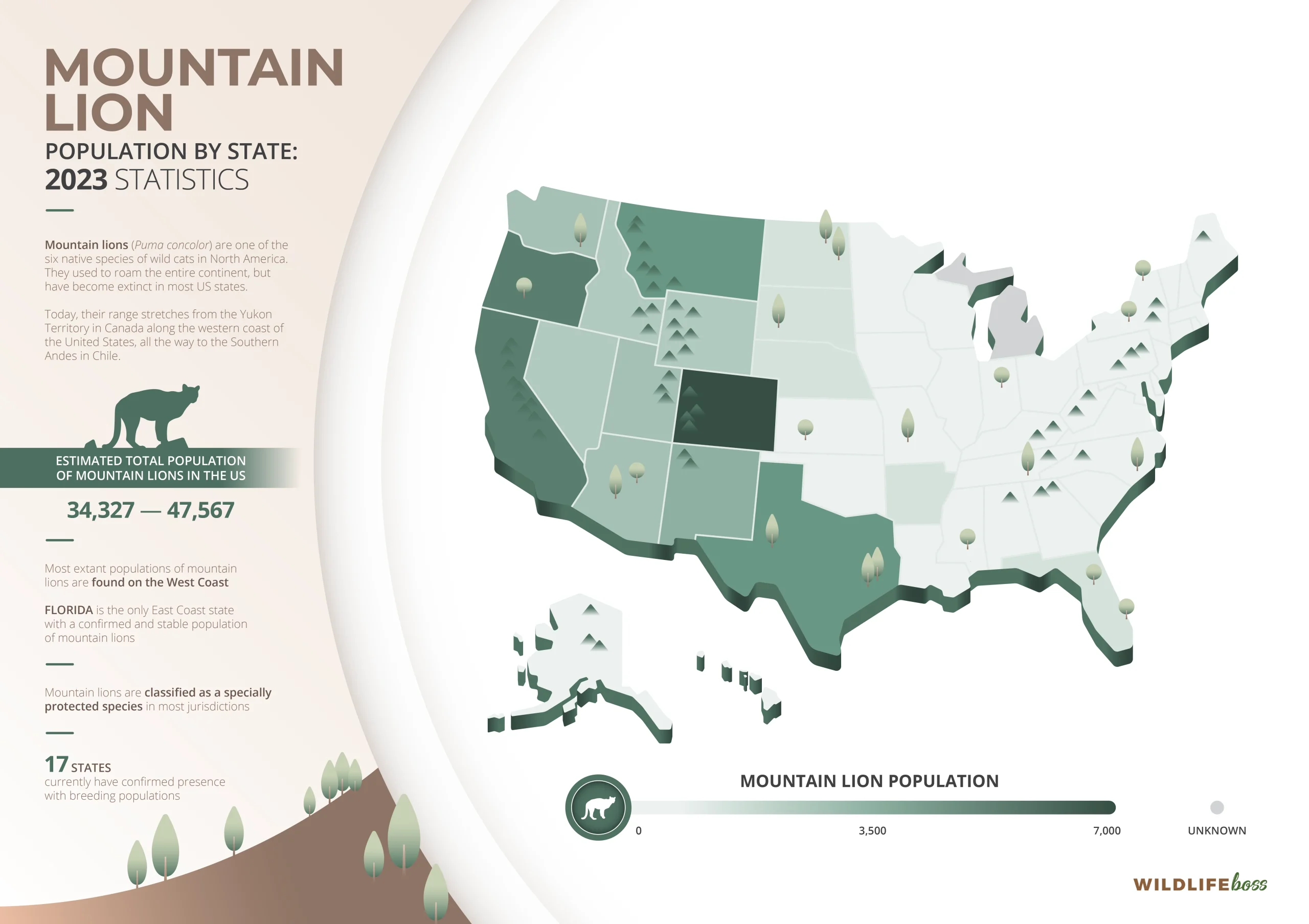 Mountain Lion Population By State 2023 Data [Statistics]